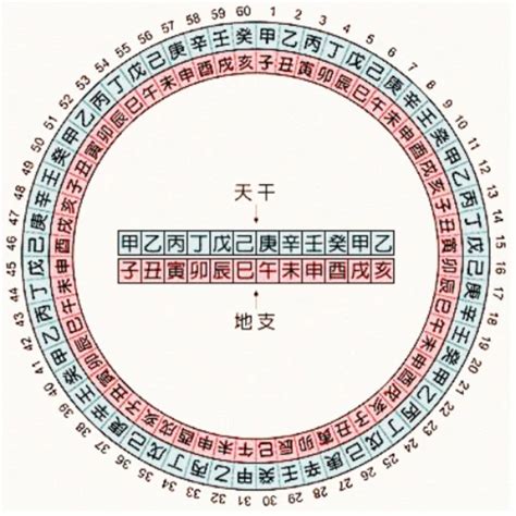 天干地支的五行|天干地支五行对照表